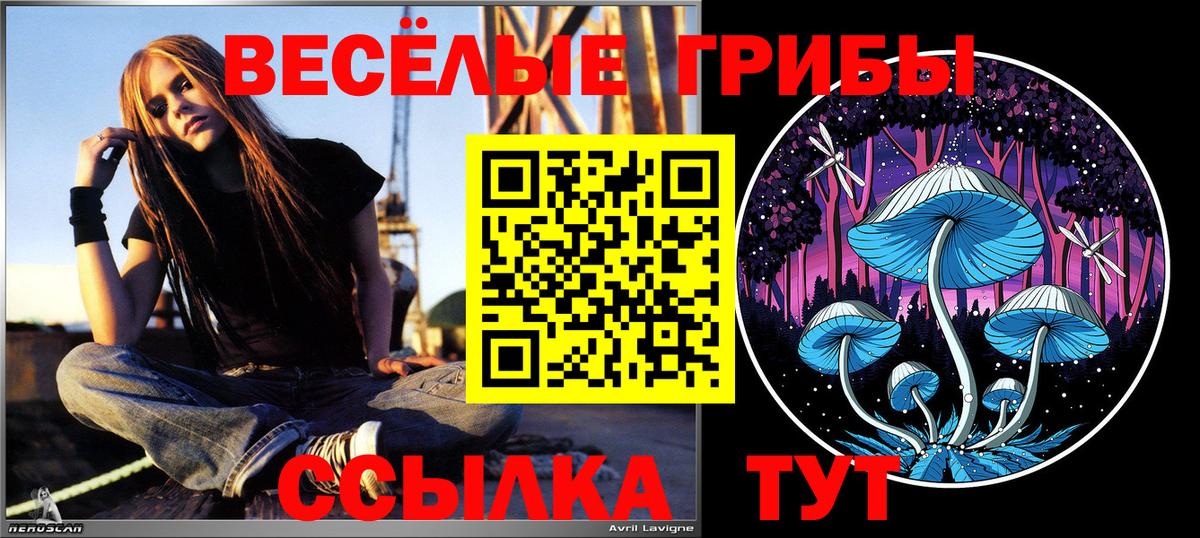 Киров  Псилоцибиновые грибы GOLDEN TEACHER  Галлюциногенные грибы мухоморы  Вход с VPN 