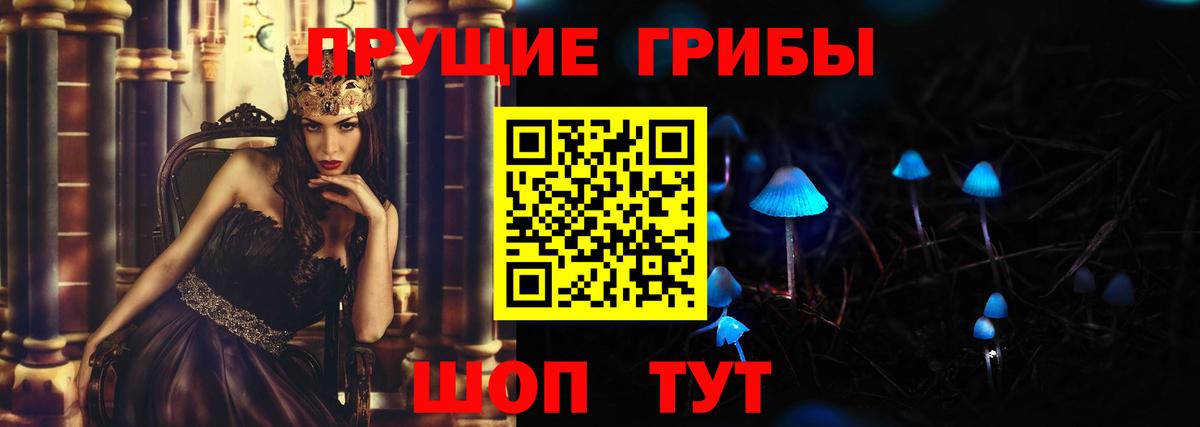 Псилоцибиновые грибы Psilocybe Киров