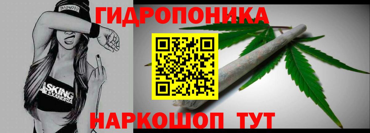 Шишки марихуана планчик Киров